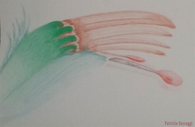 La main de la nature
Dessin improvisé que j'ai fait aux crayons de couleur